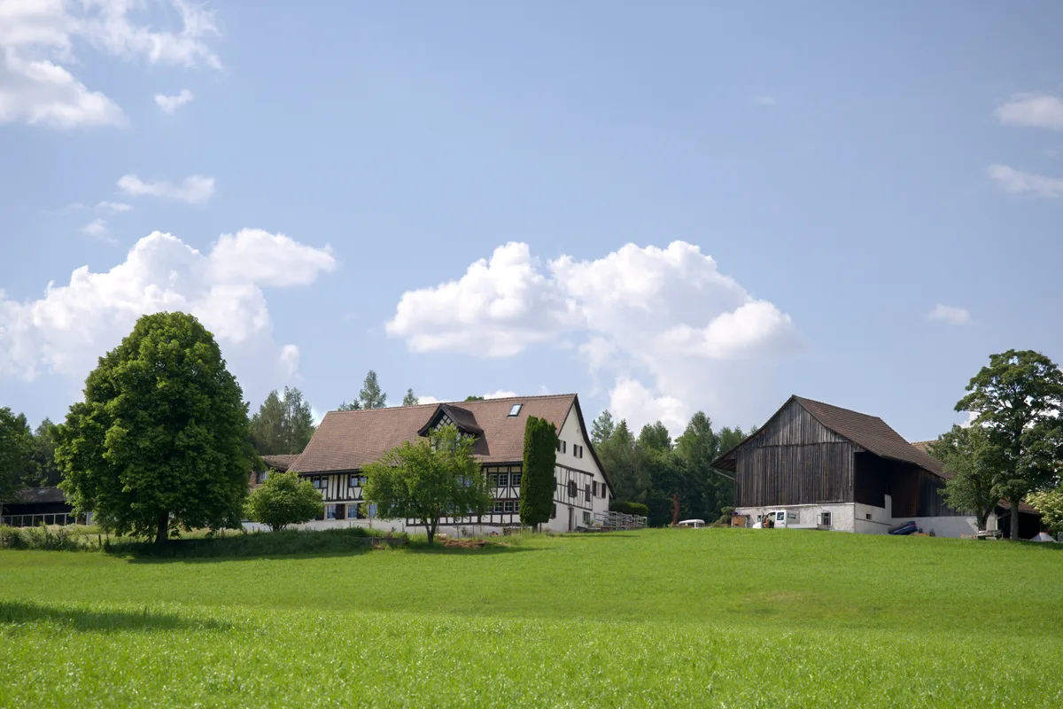 Das Herzstück des «Waldhofs Guldenen» ist das alte Riegelhaus, das von einer grünen Oase umschlossen ist. Im Vordergrund ist ein Feld zu sehen, im Hintergrund der «Waldhof Guldenen» in Maur.